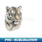 NL-67333_Roar in Style Discover Tiger-themed Tees on TeePublic 6751.jpg