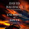 A Calamity of Souls by David Baldacci - Gripping Courtroom Drama Set in 1968 Virginia.jpg A Calamity of Souls Book Cover - A Compelling Tale of Justice and Inju