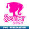 NP-2403_Class of 2024 Senior Pink Funny Seniors 2024 6096.jpg