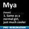 MZ-24448_MYA Definition Personalized Name Funny Birthday Idea 4888.jpg