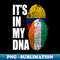AE-25293_Ivorian And Venezuelan Mix Heritage DNA Flag 7594.jpg