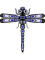 NW Dragon Fly.png