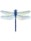 Spatterdock Dragonfly.png