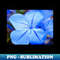 UK-17269_Delicate Bue Flower Photography V1 2323.jpg