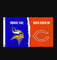 Minnesota Vikings and Chicago Bears Divided Flag 3x5ft.png
