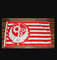 California Republic Fallout Flag Banner Brotherhood of Steel 3' x 5' USA.png
