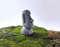 Moai-face-statue-stone.jpg