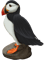 Puffin On Rock Digital Painting.png