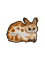 Loth Cat Loafing Graphic .png