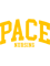 pace nursing - college font curved.png