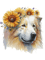 Dog Samoyed Cute Samoyed Sunflower Dog Breed Pet Puppy.png