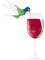 Hummingbird Drinking Wine I Funny Bird Watching Lover.png