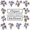 Iris Flower Clipart Designs 1.jpg