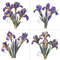 Iris Flower Clipart Designs 2.jpg