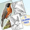 American Robin Coloring Pages 1.jpg