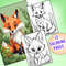 Cute Fox Coloring Pages 1.jpg
