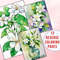 Jasmine Flower Reverse Coloring Pages 1.jpg