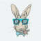 ChampionSVG-2302241022-vintage-hip-hop-bunny-glassas-png-2302241022png.jpeg