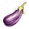5-glossy-eggplant-clipart-transparent-background-aubergine-png.jpg