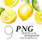 1-watercolor-lemons-clipart-png-transparent-background-citrus-fruit.jpg