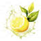 10-cut-open-lemon-clipart-images-vitamin-c-immune-support.jpg
