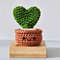 Crochet Hoya Kerrii (Heart Succulent) Plant in Rust Pot 1.jpg