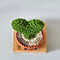 Crochet Hoya Kerrii (Heart Succulent) Plant in Rust Pot 2.jpg