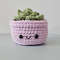Crochet Small Succulent in Lavender Pot 1.jpg