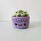 Crochet Small Succulent in Purple Pot 1.jpg