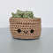 Crochet Small Succulent in Brown Pot 1.jpg