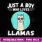 Llama . Just A Boy Who Loves Llamas with glasses - Digital Sublimation Download File