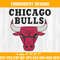 Chicago Bulls Embroidery Designs.jpg