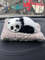 m3e0Car-Interior-Decoration-Panda-Decor-Car-Ornament-ABS-Plush-Panda-Cool-Gift-Simulation-Panda-Toy-Auto.jpg