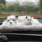 pCyaCar-Decorations-Car-Interiors-Live-Bamboo-Charcoal-Coated-Charcoal-Simulation-Dog-Purify-Air-In-Addition-To.jpg