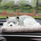 8OuGCar-Decorations-Car-Interiors-Live-Bamboo-Charcoal-Coated-Charcoal-Simulation-Dog-Purify-Air-In-Addition-To.jpg