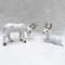 uql5Imitation-Sika-Deer-Ornaments-Simulation-Christmas-Elk-Model-Miniature-Reindeer-Figurines-Toy-Props-Home-Garden-Table.jpg
