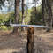 Toothpick Sword (5).jpg