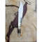Stag Antler Bowie Knife D2 Tool Steel Hunting Bowie Survival Outdoor Bowie Camping Knife Gift For Him Knife Special Knif (3).jpg