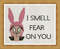 I Smell Fear On You - Louise Belche 3.jpg