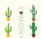 Cactus Bundle Svg, Cactus Clipart, Cactus Svg, Cactus Cricut Svg, Instant Download.jpg