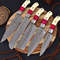 Handmade Damascus Chef Knife Set Of 5 Pcs With leather Sheath Father's Day Gift Groomsmen Gift BBQ (4).jpeg