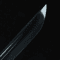 STSWORD098 (2).jpg