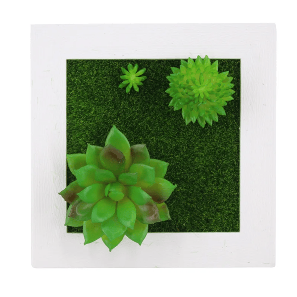 Succulent Wall Hanger Frame (6).png