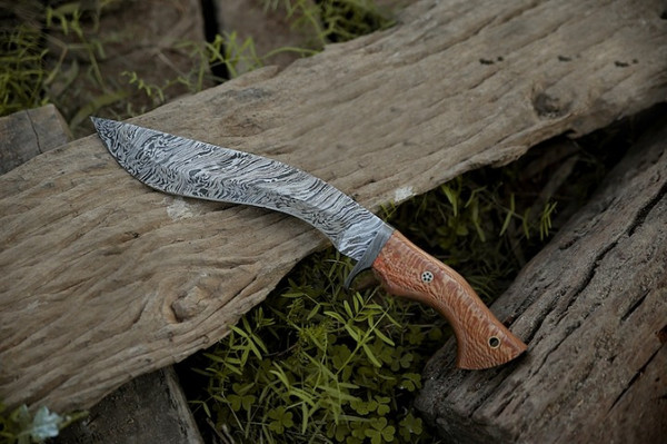 14-Inch-Damascus-Camping-Knife-Forged-for-Exploration-Kukri-Hunting-Knife-Genuine-Damascus-Craftsman_1.jpeg