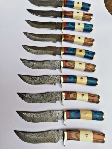 Premium-Skinner-Set 10-Handcrafted-Damascus-Steel-Hunting-Knives-with-6-inch-Blades-BladeMaster (1).png