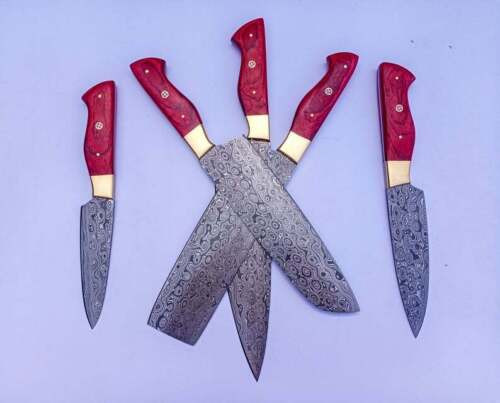 Unleash-Precision 5-Pcs-Kitchen-Knife-Set-for-BBQ-Mastery-BM-5010 (2).jpg