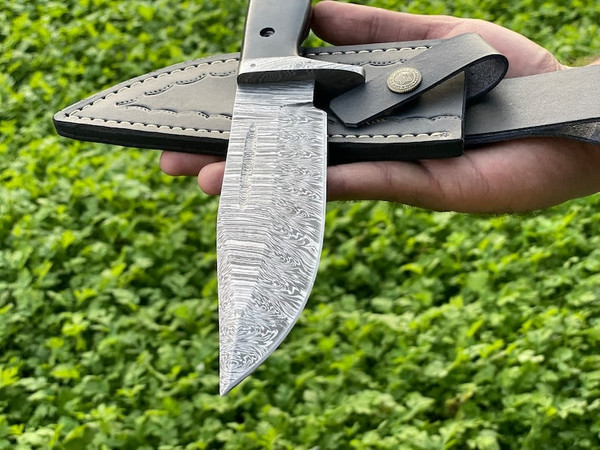 Customize_Your_Adventure_Tactical_Chef,_Survival,_and_Bushcraft_Knives_Collection (2).jpg