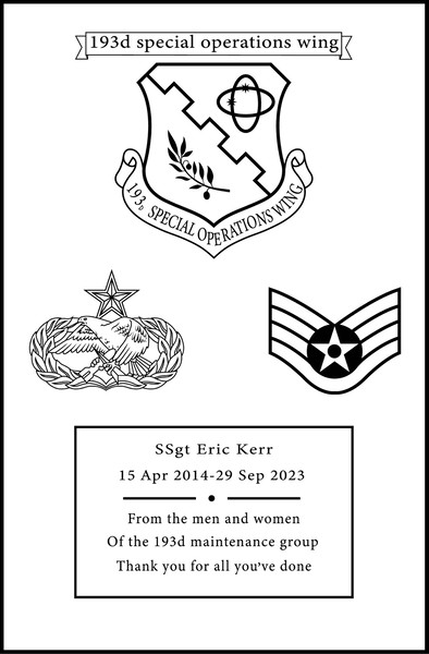 193d special operations wing vector file.jpg
