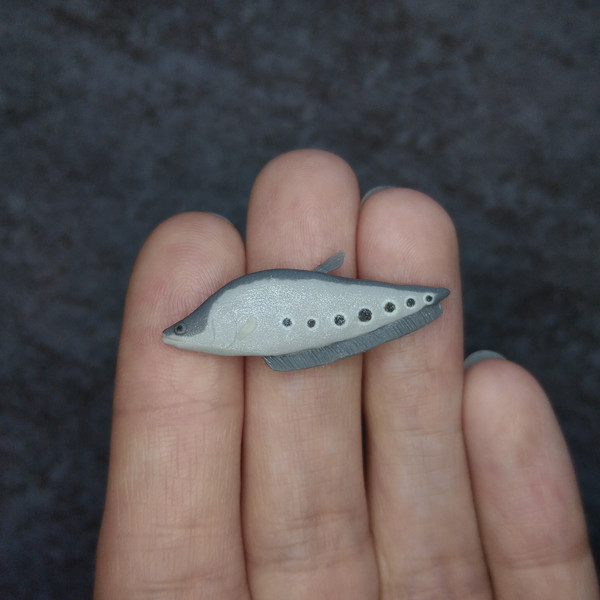 miniature-clay-knife-fish-1.jpg