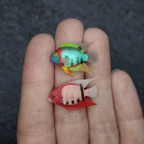 miniature-fish-models-1.jpg
